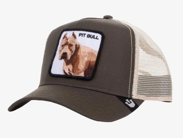 GORRA GOORIN BROS THE PITBULL